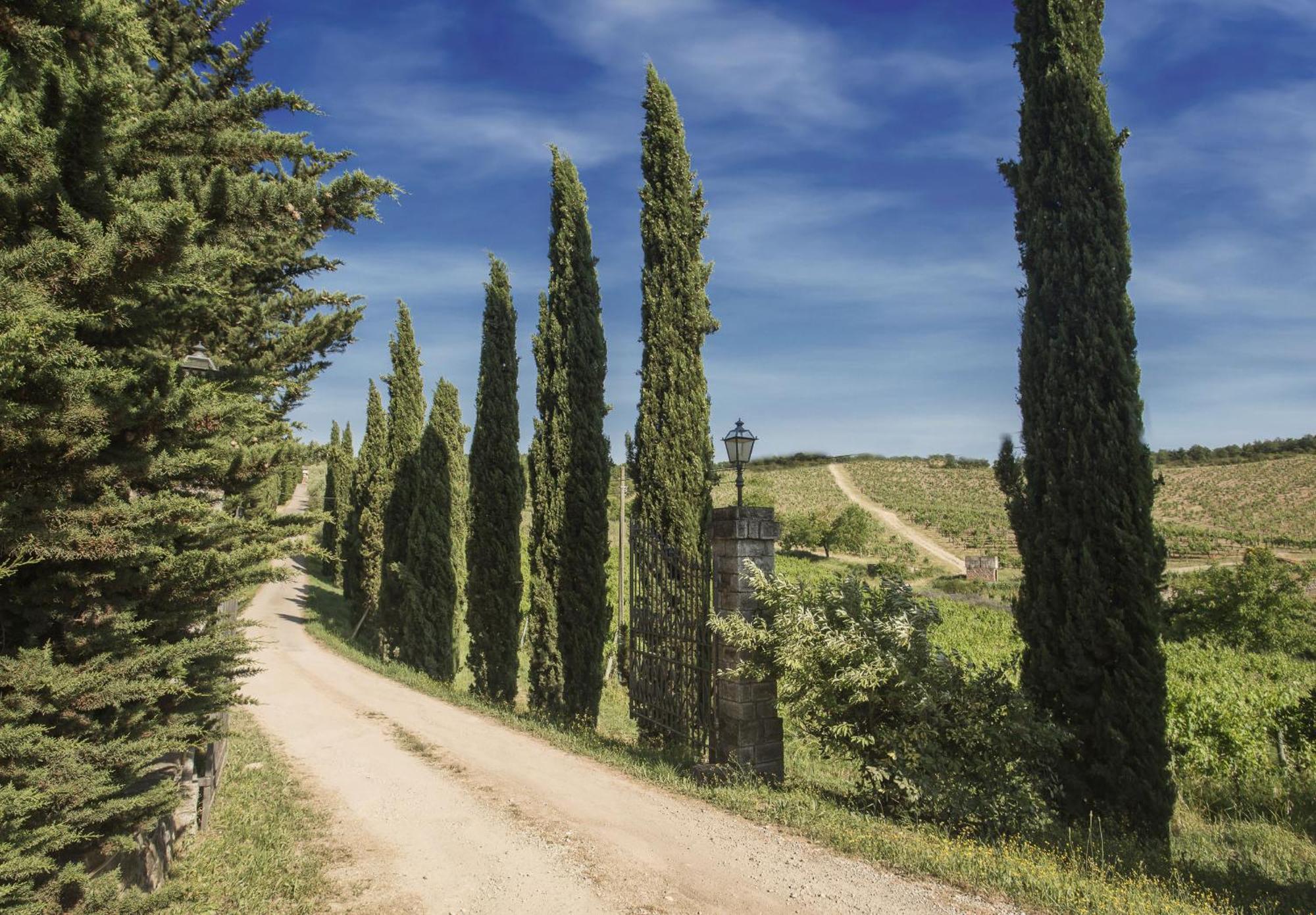Relais Santa Cristina Guest House Radda in Chianti Exterior photo
