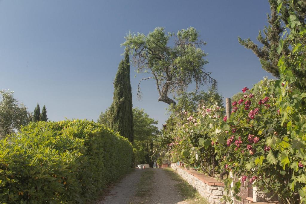 Relais Santa Cristina Guest House Radda in Chianti Exterior photo